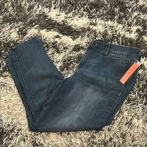 Democracy Blue Skinny Jeans with Modern Distressing